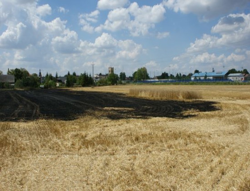 Pożar ścierniska w Koźminie Wlkp.