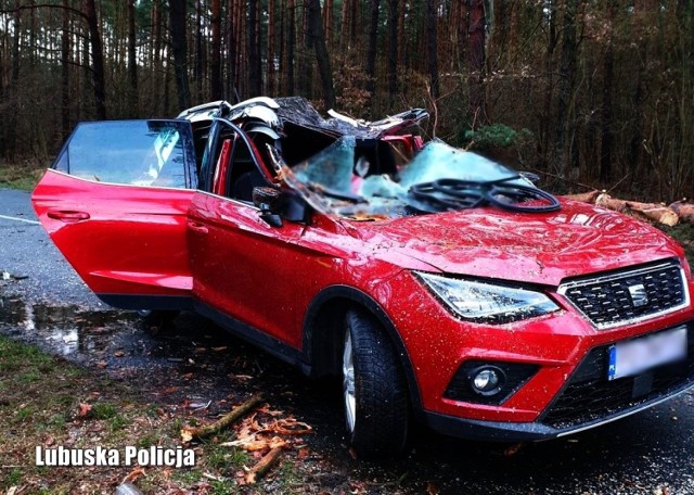 Do tragicznego zdarzenia doszło nad ranem w czwartek 17 lutego. Na samochód jadący trasą Kalsko - Międzyrzecz spadło drzewo. 

- Do zdarzenia doszło około godz. 6.30. Kierowca podróżował samochodem marki seat. Nagle na jego samochód zawaliło się drzewo. Zginął na miejscu - poinformował nas bryg. Dariusz Rzepecki z PSP w Międzyrzeczu.

Do tragedii doszło w okolicach Kalska, pod Międzyrzeczem. Na miejscu pracują policjanci i prokurator.

-  Niestety mimo prób podjętych przez służby ratunkowe jego życia nie udało się uratować. Droga w miejscu zdarzenia jest nieprzejezdna, a policjanci wykonują szczegółowe oględziny. Zorganizowano objazdy trasami alternatywnymi. Ta tragedia pokazuje, jak niebezpieczna jest natura i jak mocno należy się z nią liczyć - mówi podinsp. Marcin Maludy, rzecznik lubuskich policjantów.


