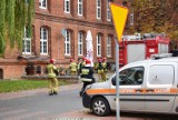 Strażacy z powiatu kwidzyńskiego wyjeżdżali do 5 miejscowych zagrożeń. W trzech gminach nie doszło do żadnej interwencji