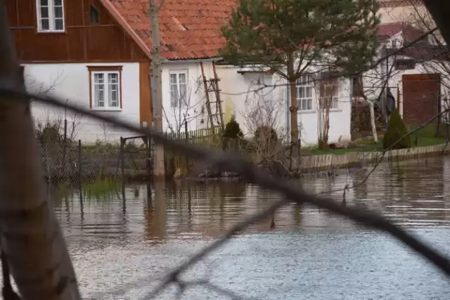 Nowy Dwór Gdański. Alarm powodziowy został odwołany