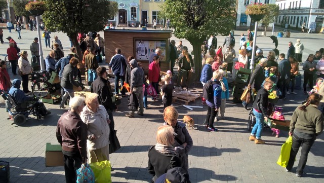 Pierwsza akcja rozdawania jabłek w Pucku cieszyła się ogromnym zainteresowaniem