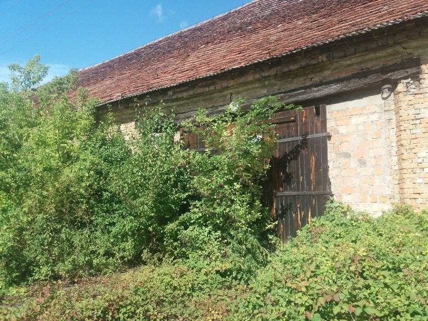 Widok budynku przyszłego muzeum doprawdy przygnębia.