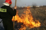 „NIE! dla wypalania traw na Mazowszu”. Tylko w tym roku spłonęło 200 łąk