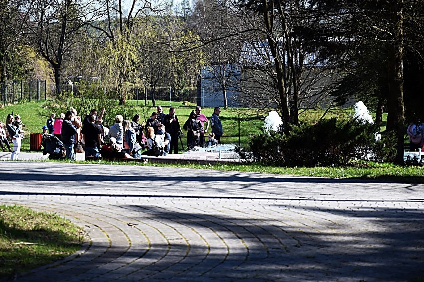 Uzdrowiska wracają do pracy po ponad czteromiesięcznej...