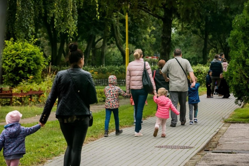 Internetowy komunikat o zawieszeniu wypłaty 500 plus okazał...