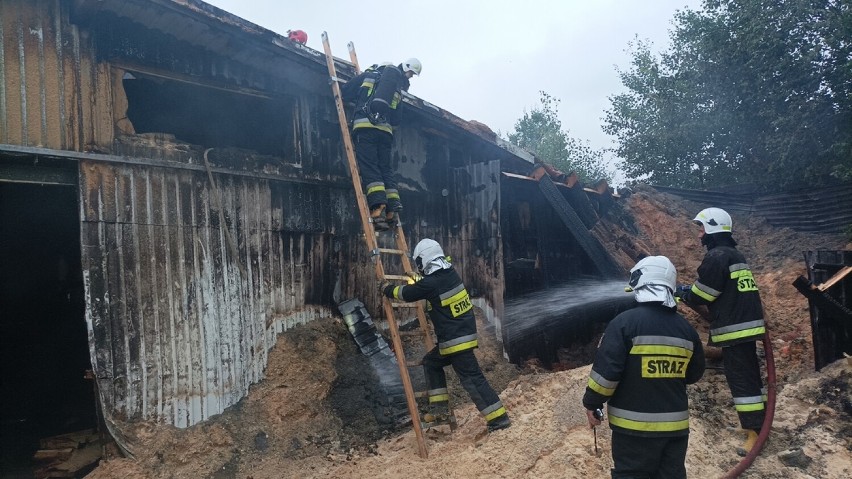 Pożar tartaku w Opalinie (27.07.2022)