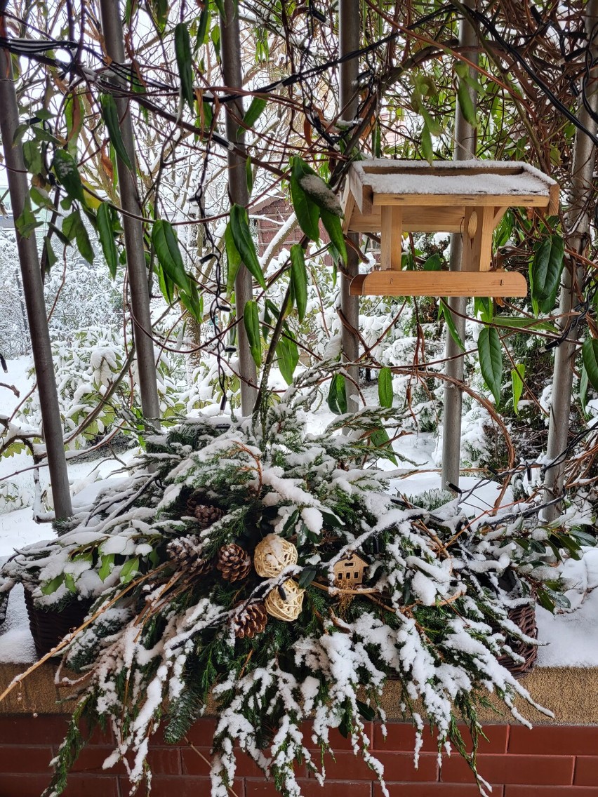 Karmnik Lidii ze Szkoły Podstawowej nr 3 im. Kawalerów...