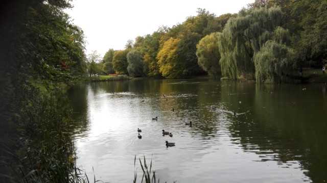 Każda pogoda jest dobra na spacer. Na zdjęciu jesienny Park Oruński w Gdańsku