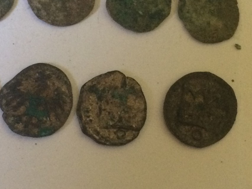 Srebrne denary znalezione przez SHES