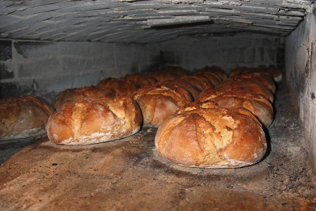 Chleb gogołowicki