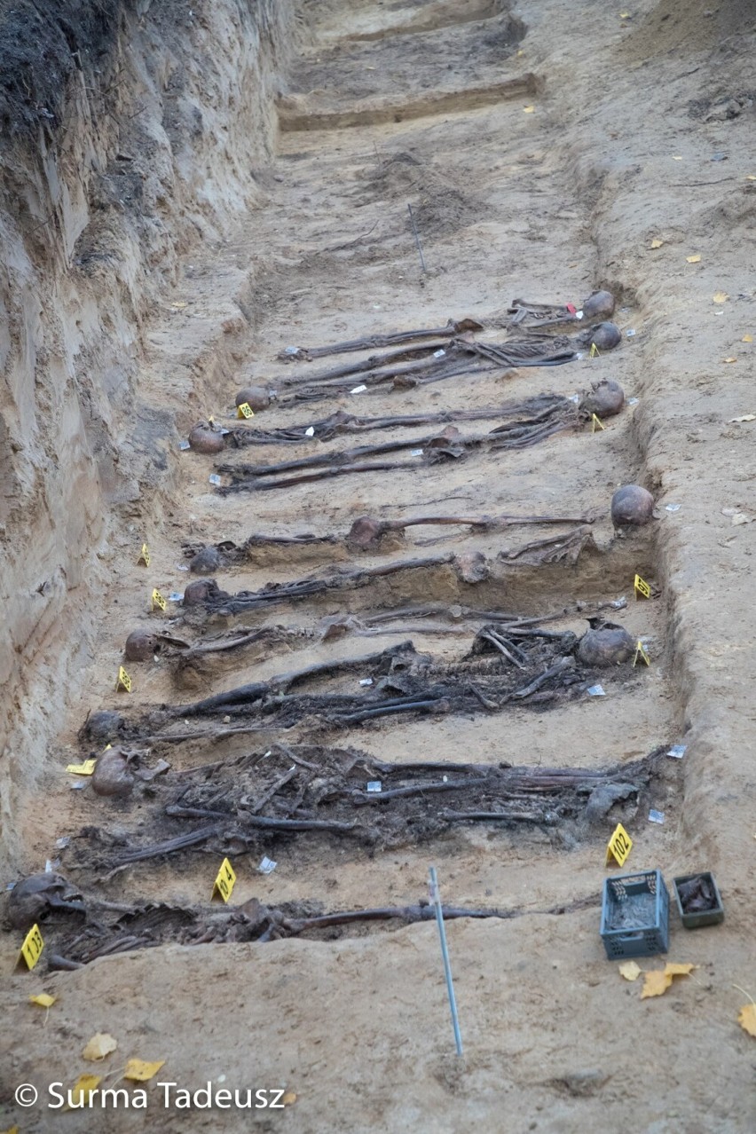 Na terenie Stalag II-D odkryto szczątki kilkudziesięciu osób