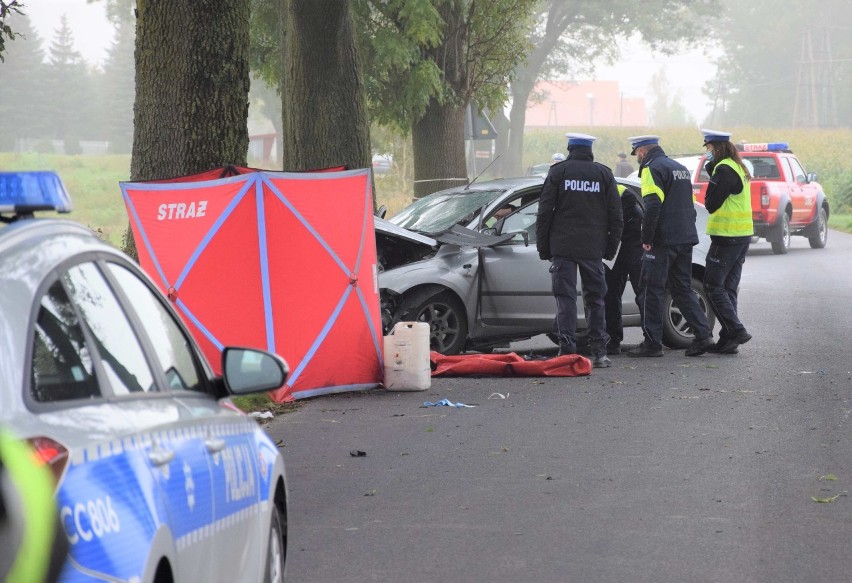 Do wypadku doszło przy wjeździe do Orłowa od strony Rojewa