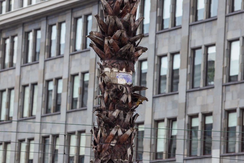 Palma na rondzie de Gaulle'a się sypie! [ZDJĘCIA]