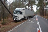 Wypadek w Ryczówku. Samochód ciężarowy wjechał w drzewo, jedna osoba ranna