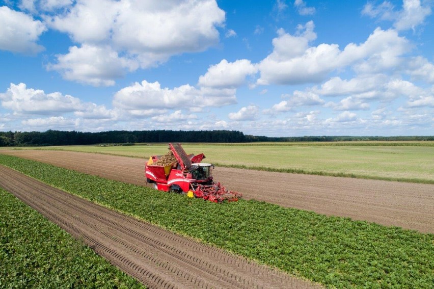 Malbork. Cukrownia przed kampanią. KSC podaje, jak produkcja będzie wyglądała w skali całego koncernu