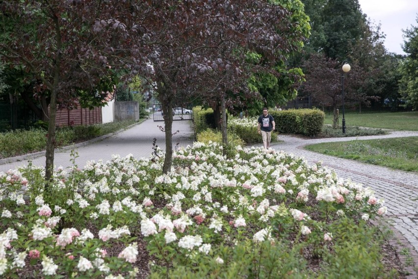 PARK DĘBNICKI