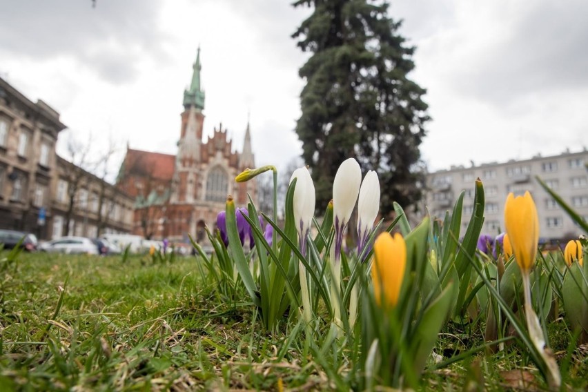 RYNEK PODGÓRSKI