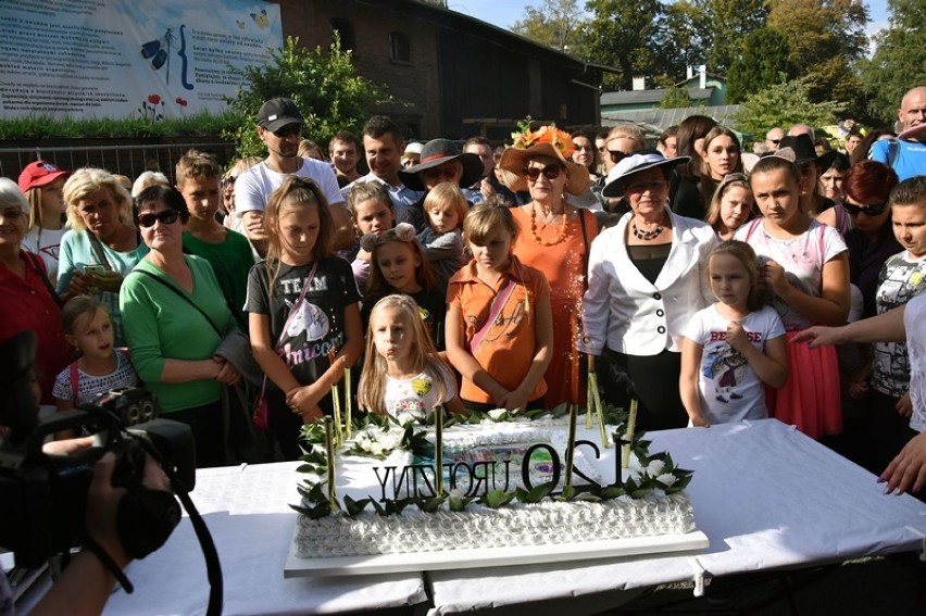 120. Urodziny Legnickiej Palmiarni, był pyszny tort.