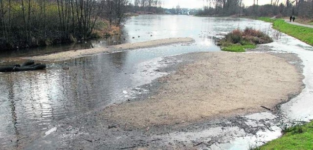 W kieleckim zalewie jest coraz mniej wody, niebawem na ptasią wyspę będzie można przejść po piachu, który wyłania się z wody. Powodem takiego stanu są niewielkie opady deszczu.