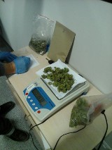Kolejne narkotyki ujawnione przez wejherowską policję