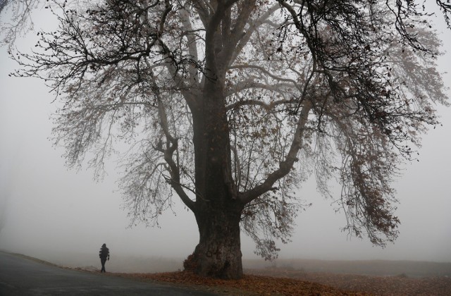 Pogoda w Łodzi i regionie na piątek 15 grudnia