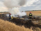 Niedzielne pożary w powiecie wieluńskim. Co ustaliła policja? ZDJĘCIA