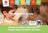 Nowe logo oraz strona internetowa Naturschutz-Tierpark Nasze Zoo Görlitz-Zgorzelec!