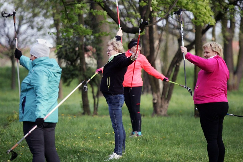 Chodzę, bo lubię Nordic Walking w Legnicy [ZDJĘCIA]