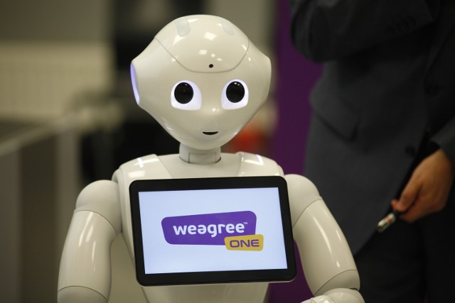 Weegree one. Robot humanoidalny został zaprezentowany w Centrum Wystawienniczo-Kongresowym w Opolu.