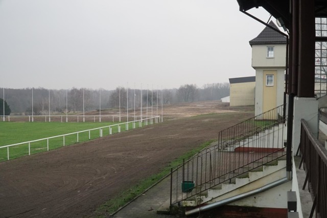 Bobry są w Polsce pod częściową ochroną gatunkową. Mieszkają w Lasku Golęcińskim. Niestety, władze Hipodromu Wola nie do końca są zadowolone z pracy takiego sąsiada.