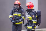 W Łodzi spłonęły dwa policyjne radiowozy. Co było przyczyną pożaru?
