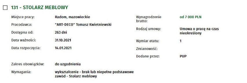 Zobacz oferty pracy w Radomiu. Ile pracodawcy dają zarobić i jakich pracowników poszukują?