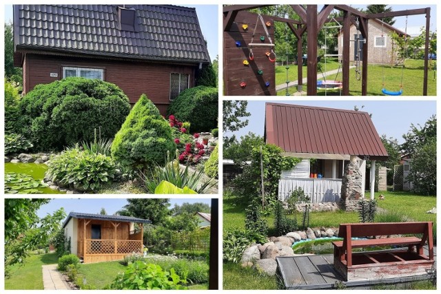 Zobacz, jak wyglądają rodzinne ogródki działkowe na Jaroszówce w Białymstoku.