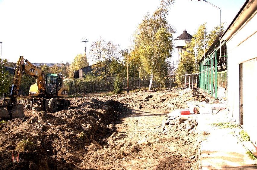 Zmiany w opolskim Schronisku dla Zwierząt