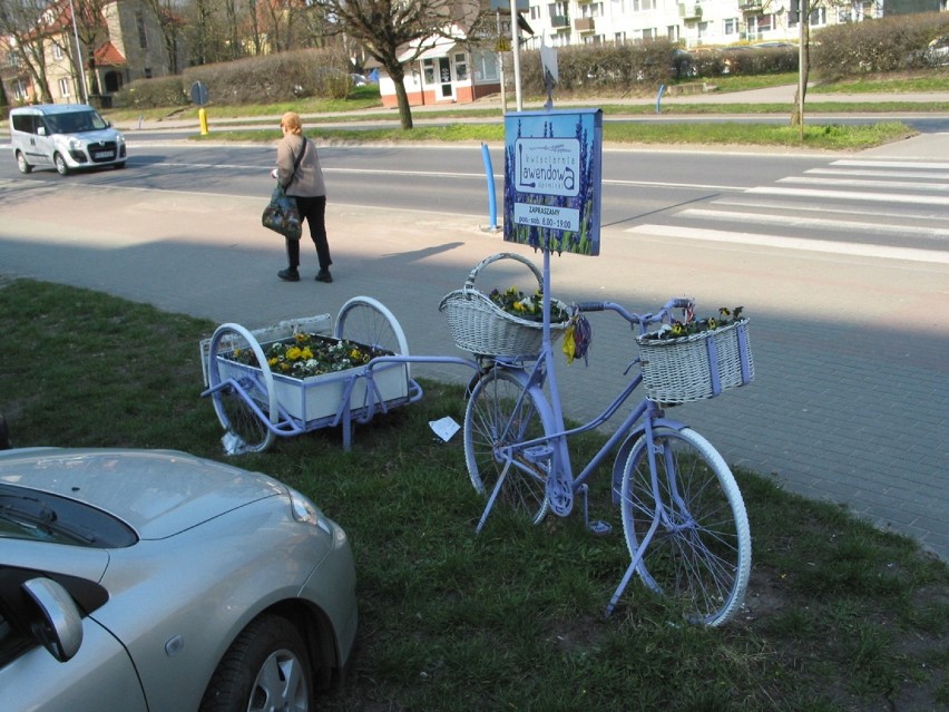 Gustowna reklama ulicznej kwiaciarni na starym rowerze z...