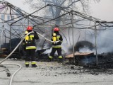 Tegoroczne interwencje straży pożarnej z terenu powiatu oleśnickiego w liczbach (ZDJĘCIA i FILM)