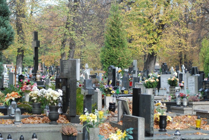 W okresie Wszystkich Świętych na bytomskich cmentarzach będą prowadzone kwesty
