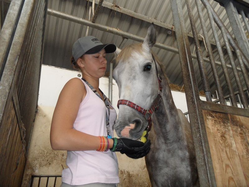 Stadnina koni w Jaworznie [ZDJĘCIA]. Pomysł na dobre wakacje