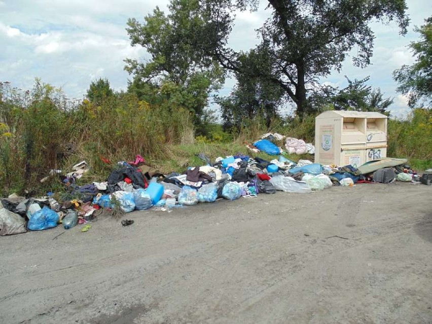Broszkowice. Śmieci zniknęły z zatoczki, a policja ukarała mieszkankę Oświęcimia mandatem