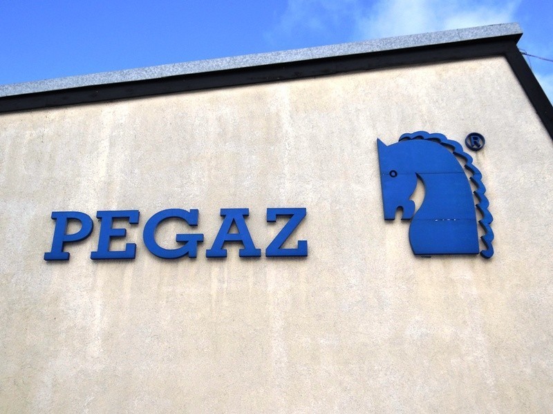 Pegaz Poznań: Zobacz, jak wygląda produkcja musztardy, majonezu i octu [ZDJĘCIA]