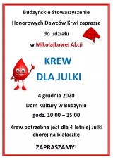 4 grudnia oddajemy krew dla chorej Julki z Budzynia