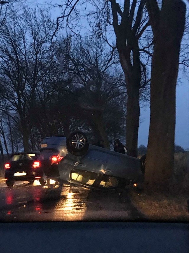 Dachowanie samochodu osobowego na drodze wojewódzkiej 186 (10.02.2019)

RATOWNICTWO LODOWE - ĆWICZENIA STRAŻAKÓW Z POWIATU MIĘDZYCHODZKIEGO - GALERIA

GALA PIĘCIU WSPANIAŁYCH MIĘDZYCHÓD 2019 - ZDJĘCIA

STUDNIÓWKA ZESPOŁU SZKÓŁ TECHNICZNYCH (ROLNIK) W MIĘDZYCHODZIE 2019 - ZDJĘCIA

STUDNIÓWKA LICEUM OGÓLNOKSZTAŁCĄCEGO W MIĘDZYCHODZIE 2019 - ZDJĘCIA

STUDNIÓWKA ZESPOŁU SZKÓŁ TECHNICZNYCH (EKONOMIK) W MIĘDZYCHODZIE 2019 - ZDJĘCIA

STUDNIÓWKA ZESPOŁU SZKÓŁ W SIERAKOWIE 2019 - ZDJĘCIA

W powiecie międzychodzkim spada liczba mieszkańców

RADA MIEJSKA SIERAKOWA PONOWNIE WYBRAŁA WICEPRZEWODNICZĄCYCH RADY

W Dzięcielinie pod Międzychodem powstał nowy żłobek - ZDJĘCIA

PROTEST ROLNIKÓW W POWIECIE MIĘDZYCHODZKIM - ZDJĘCIA

ROZMOWA ZE STAROSTĄ MIĘDZYCHODZKIM RAFAŁEM LITKE

UMOWA NA BUDOWĘ MOSTU W MIĘDZYCHODZIE ROZWIĄZANA

Śmietelny wypadek na torach w Lesznie. Zginął mężczyzna
