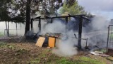 Piorun uderzył w składzik na drewno! Trzy zastępy wozów strażackich pojechały gasić pożar w Połchówku (gmina Krokowa) | ZDJĘCIA