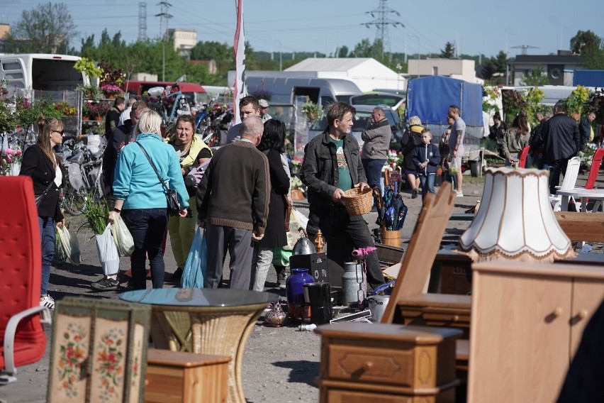 Tłumy na Pchlim Targu we Włocławku - 15 maja 2022