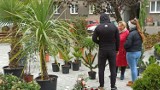 Targ kwiatowy w Kaliszu. Wystawcy zagościli na miejskich plantach. ZDJĘCIA