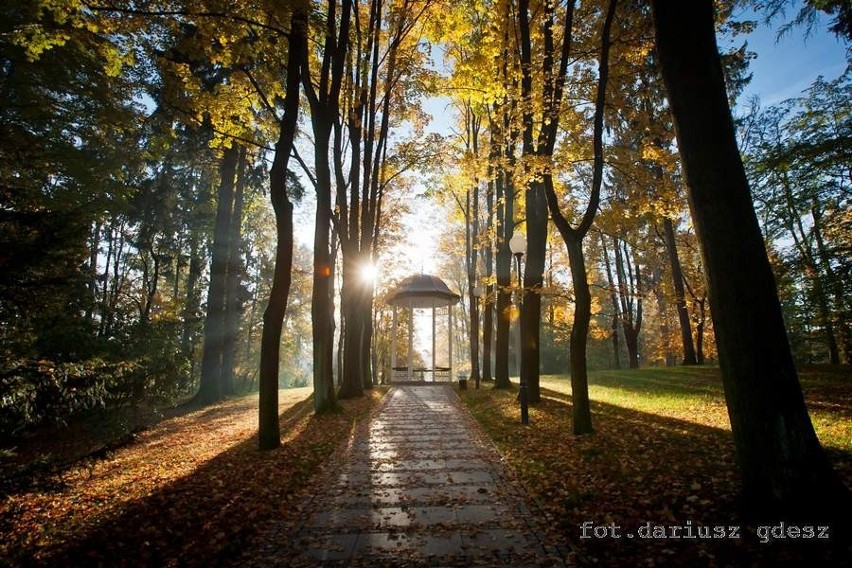 Park w Polanicy-ostatnie kadry jesieni