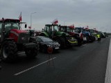 Protesty rolników w Wielkopolsce. Prawie setka rolników blokuje węzeł drogi S5 na wysokości Czempinia [zdjęcia]