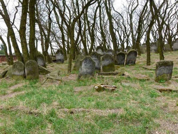 Cmentarz Żydowski w Zduńskiej Woli: Na środę zaplanowano akcję sprzątania
