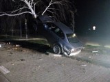 Wypadek w Janowie Lubelskim. Samochód wylądował na drzewie. Cztery osoby w szpitalu (ZDJĘCIA)