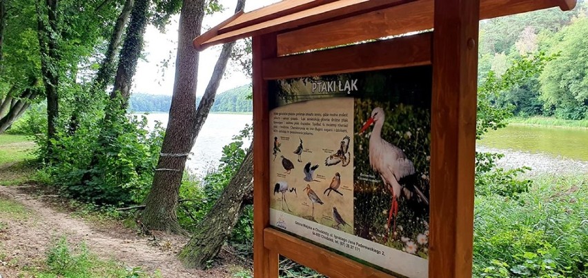 Jezioro Strzeleckie w Chodzieży z nowymi ławkami, wiatami i ścieżką przyrodniczo-edukacyjną (FOTO)